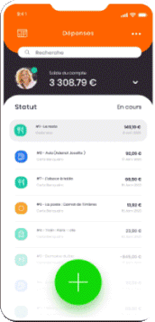 Version mobile de N2F