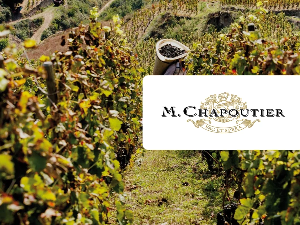 M. Chapoutier